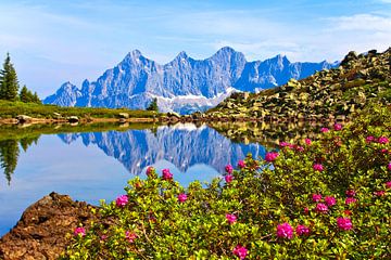 De Dachstein wordt weerspiegeld in het spiegelmeer van Christa Kramer