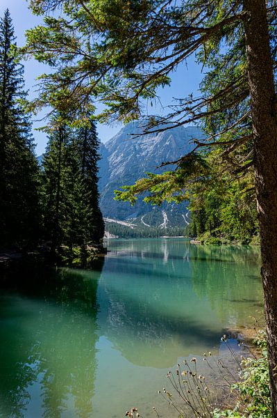 Mountains and more by Lynn Haverhals