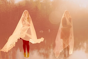 Swanlake