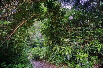 Hidden path in the green by Joran Quinten