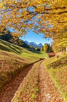 L'automne dans les Alpes bavaroises