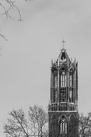 Utrecht's snow-covered Dom tower from Moreelsepark. (standing, right in image, black and white)