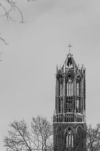 Utrecht's snow-covered Dom tower from Moreelsepark. (standing, right in image, black and white) by André Blom Fotografie Utrecht