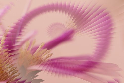 Abstract bloemenpatroon in paars en geel