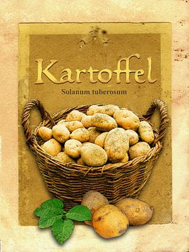 Keukenfoto aardappelen van Dirk H. Wendt