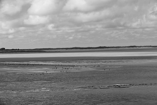 Foto's van het Noordzee-eiland Borkum.