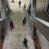 Bewegende reizigers in station van Marcel van Balken