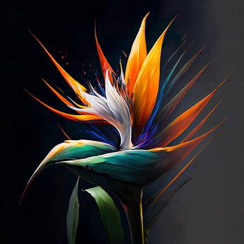 Magische Paradijsvogelbloem