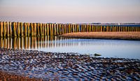 Beach in midsummer