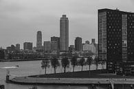 Rotterdam Skyline bw 1 van Nuance Beeld thumbnail