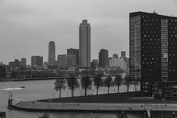 Rotterdam Skyline bw 1 van Nuance Beeld