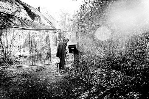 A quiet arrival by Geert Van Baelen