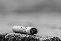 Le mégot de cigarette peut aussi être beau