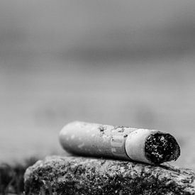 Zigarettenstummel kann auch schön sein von Susan van der Riet