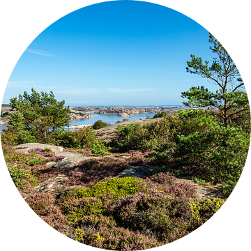Uitzicht op de eilanden van de archipel voor de stad Fjällbacka in Zweden van Rico Ködder