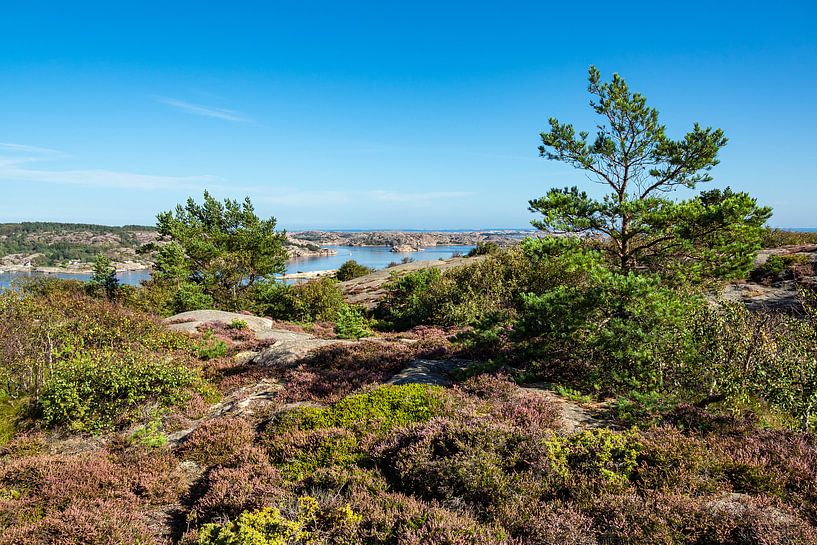 View of the archipelago islands off the town of Fjällbacka in Sweden by Rico Ködder