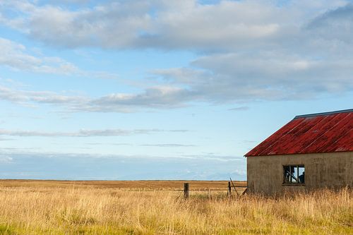 Lonely barn in a vast landscape - Tricolor