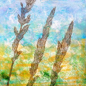 Steppe