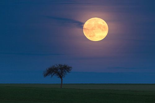 Mystischer Mondaufgang