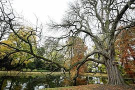 Celle in Deutschland. von Anita Verhaegh
