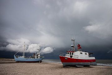 Walvissers op het strand van Thorup, Denemarken van Winne Köhn