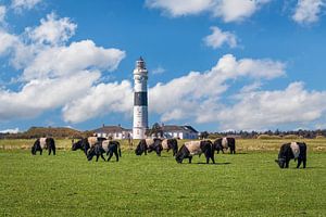 Leuchtturm Langer Christian in Kampen, Sylt