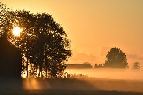 Lichtmeer
