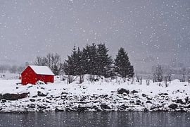Winter landscape on the coast by Kai Müller