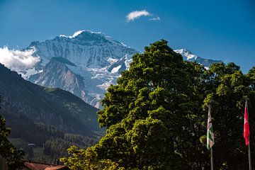 Blik op de Jungfrau van Steven Van Aerschot