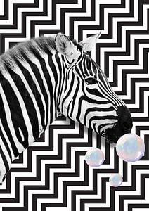 Zebra bläst Seifenblasen