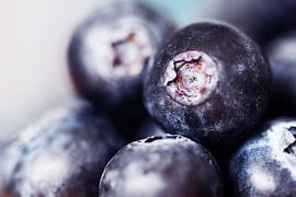 Close-up of blueberries by Love & Devotion Photography