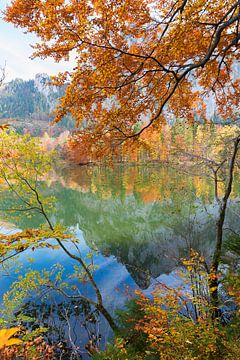 kleurrijk herfstlandschap aan de Laudachsee, berg Katzenstein van SusaZoom