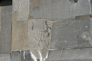 Nahaufnahme einer französischen Fassade mit zerklüfteten Rissen in verschiedenen Naturtönen