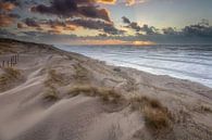 Strand Noordwijk von Aland De Wit Miniaturansicht