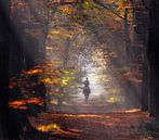 Herfst amazone van Robert Broeke thumbnail