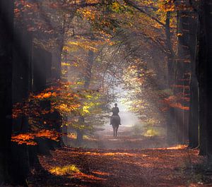 Herbst amazon von Robert Broeke