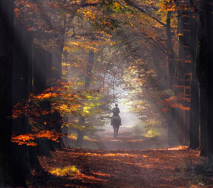 Herbst amazon von Robert Broeke