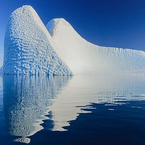 Icebergs dans le fjord Røde, Scoresby Sund