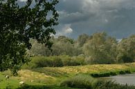 Beautiful Dutch landscape by Moetwil en van Dijk - Fotografie thumbnail