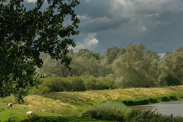 Mooi Hollands landschap van Moetwil en van Dijk - Fotografie