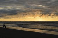 Vissen op zee