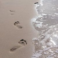 Footprints in the sand