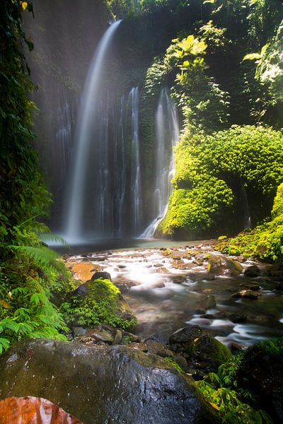 Waterval op Lombok van Willem Vernes