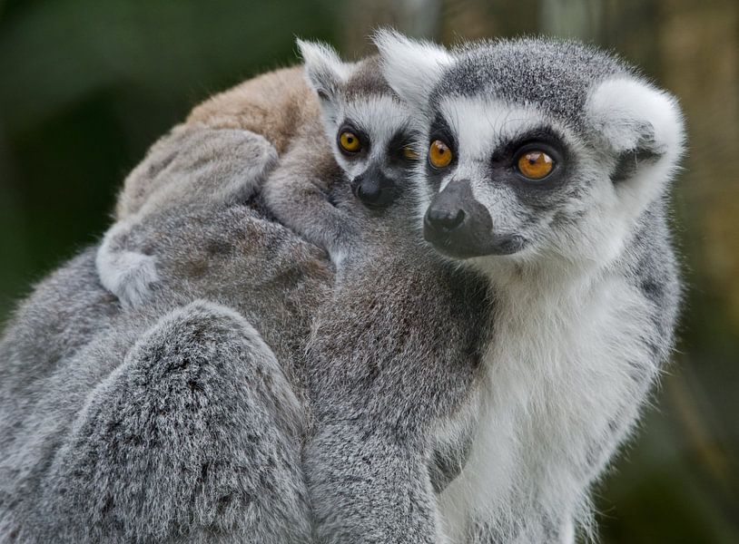 Lief stel. by Karin Tebes