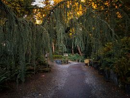 Gespenstische Passage von Sjoerd Veltman