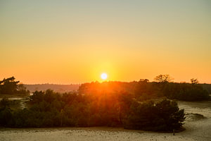 Herbstlandschaft bei Sonnenuntergang in den Veluwe-Dünen