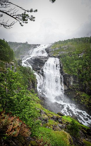 Nyastølfossen: Wasserfall im Porträt mit moosbewachsenem Vordergrund und grünem Detail