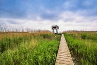 Kiekkaaste in Nieuwe Statenzijl aan de Dollard
