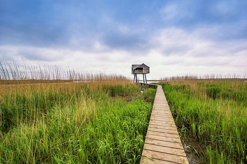 Kiekkaaste in Nieuwe Statenzijl aan de Dollard