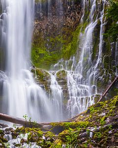 Wasserfall Proxy Falls, Oregon von Henk Meijer Photography